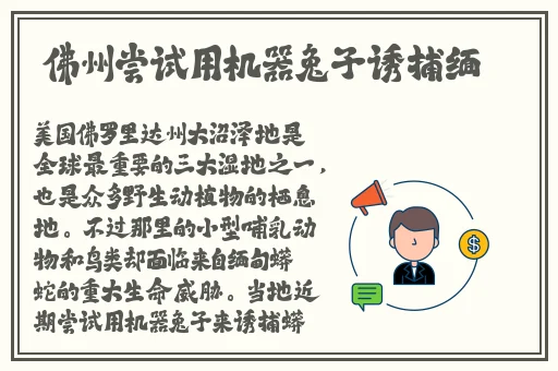 葫芦娃下载汅免费下载